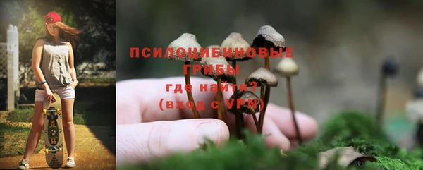 а пвп мука Осташков