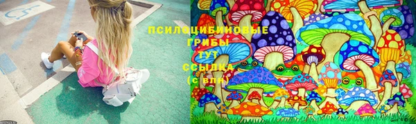 альфа пвп Осинники