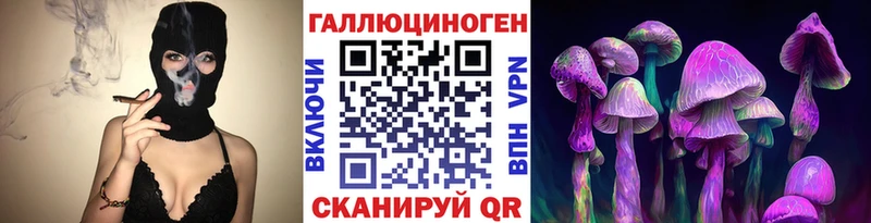 Псилоцибиновые грибы Psilocybe  даркнет сайт  Бабаево 